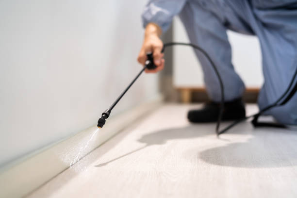 Licensed Rodent Control service in Marshville, NC - Nex Pest Control