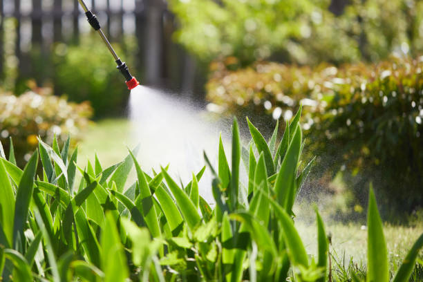 24/7 Emergency Rodent Control experts in Marshville, NC