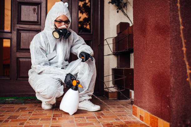 Reliable Rodent Control contractor in Marshville, NC by Nex Pest Control