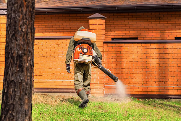 Trusted Cockroach Control service in Marshville, NC - Nex Pest Control